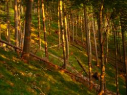 2013-07-13_Regina-F-Rau_Sonnenspitze3 (285).JPG